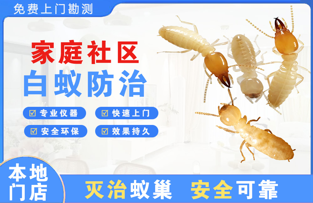 南岸家庭社区白蚁防治