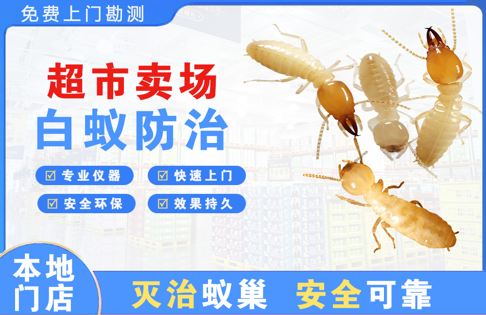 南岸超市卖场白蚁防治