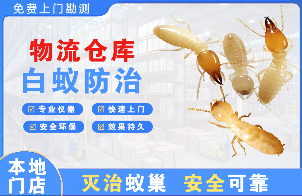 南岸物流仓库白蚁防治