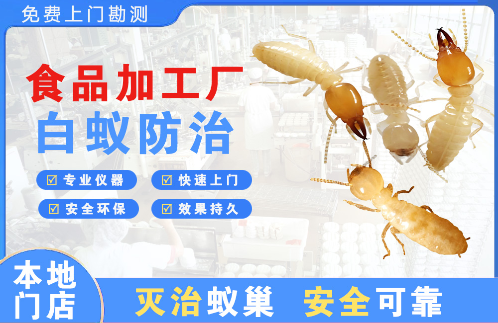 南岸食品加工厂白蚁防治