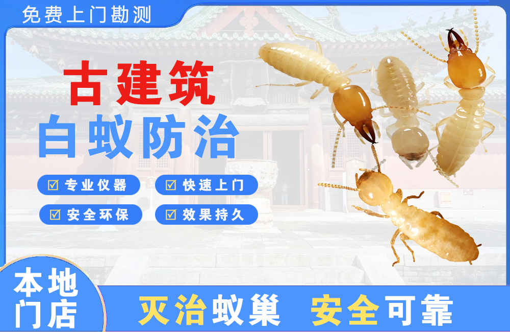 南岸古建筑白蚁防治