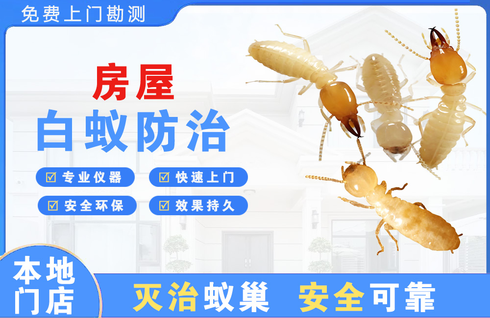 南岸房屋白蚁防治