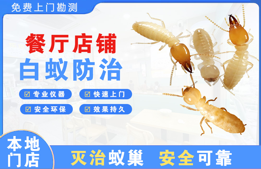 南岸餐厅店铺白蚁防治